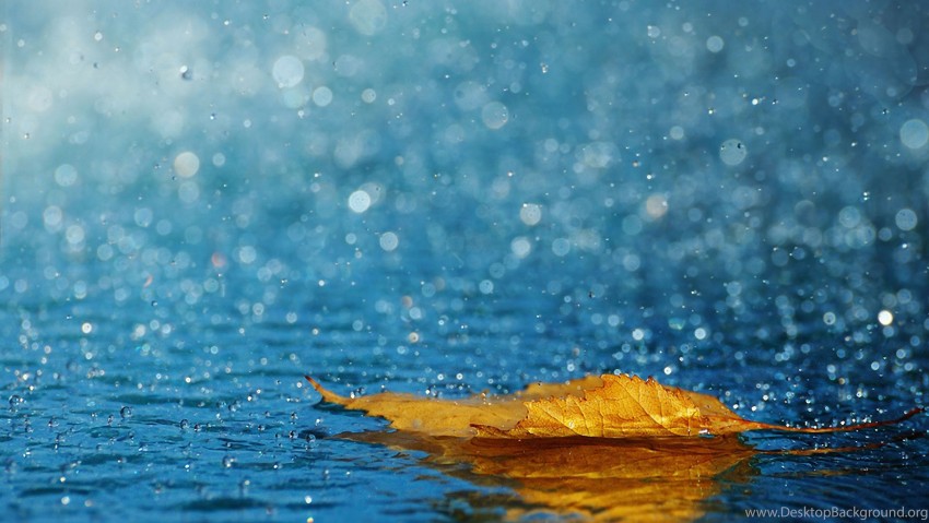 3840x2160 Wallpaper HD   Best Wallpaper For Desktop 4k, Rain, Water Drops, Leaf, Fall