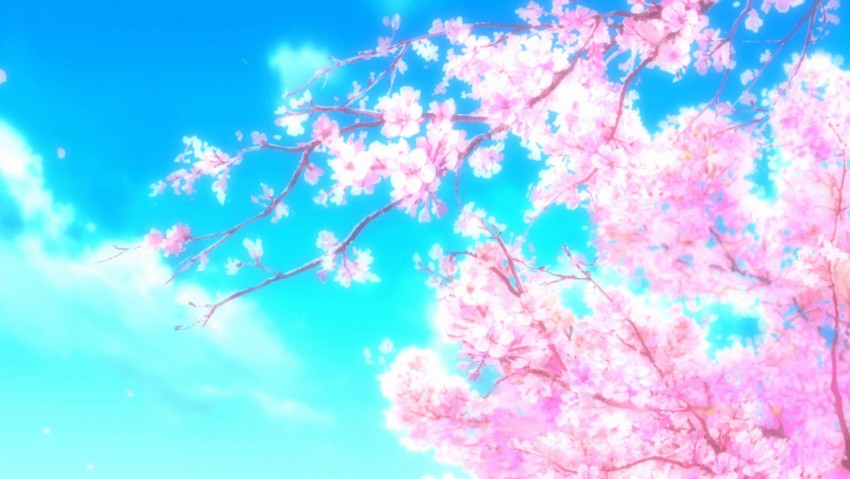 Anime Aesthetic Sakura Flowers, Cherry blossom, Japan