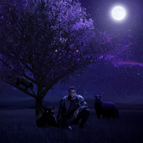 Black Panther: Wakanda Forever Wallpaper, Animals, Chadwick, King, Night, Purple, Moon