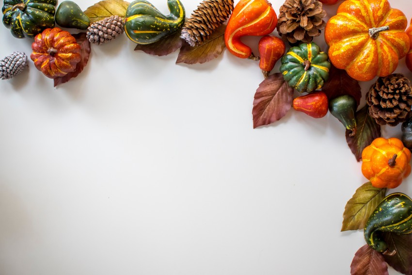 HD Thanksgiving Wallpapers, Pumpkin Spice Fall Border, Thanksgiving  Background 2021