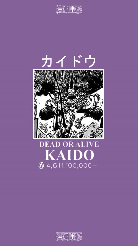 Kaido Wano Wallpaper, One Piece, robin, luffy, zoro, nami, wano, one piece, sanji