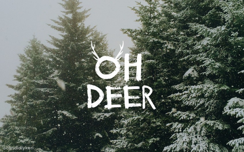 Oh Deer Christmas 2021 Desktop Wallpaper imac, Candidly Kerri