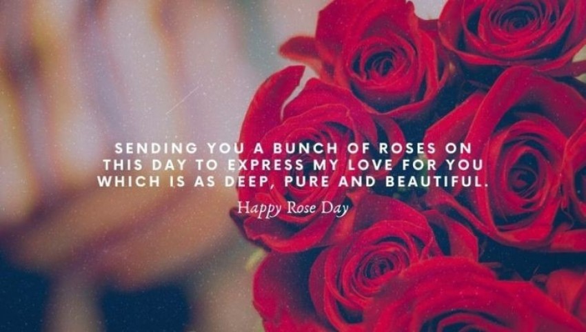 Sending You A Bunch Of Roses, Rode Day