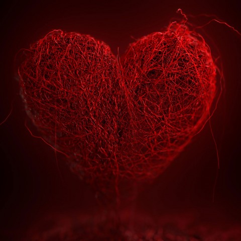 Valentine's Day 2022 Wallpaper, Red Heart