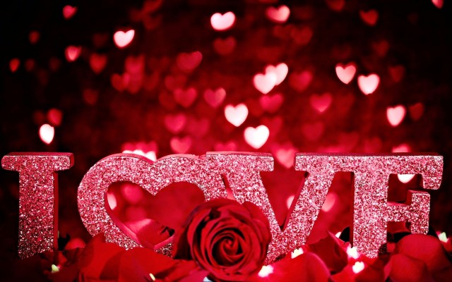 Valentines Day 2022 Background, Love, Red Rose