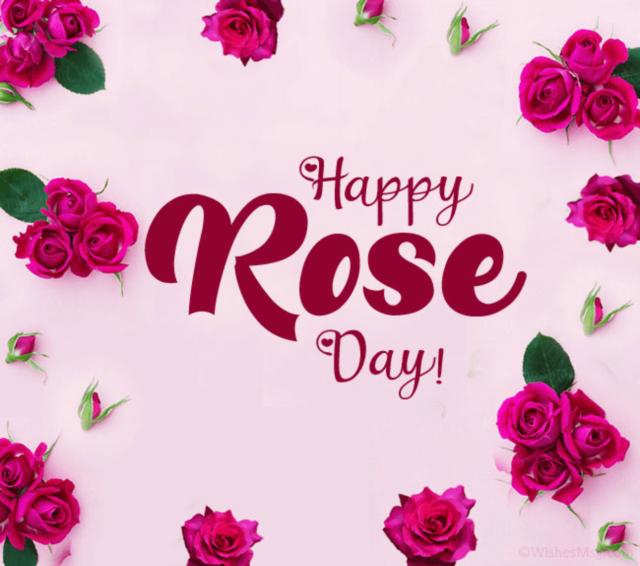 Happy Rose Day Photo