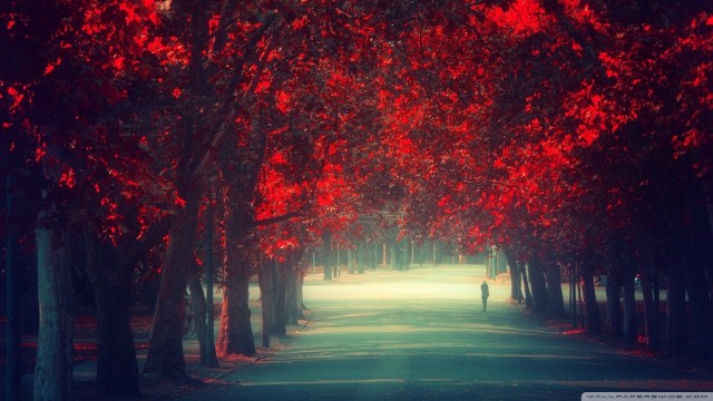 Red Nature Walking Alone Wallpaper