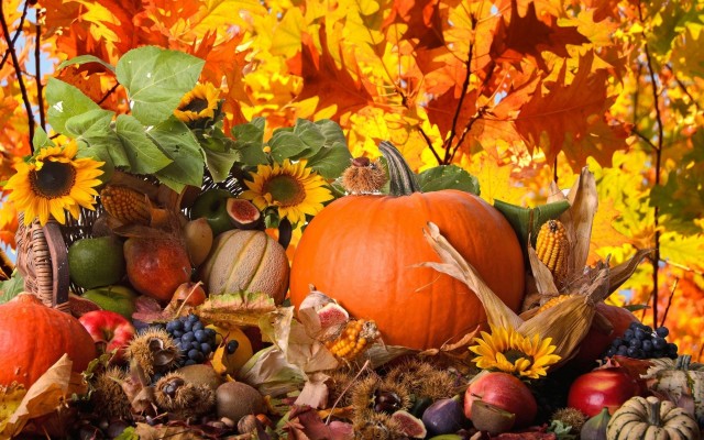 Thanksgiving HD Wallpapers, Images & Pictures, Background, thanksgiving free desktop wallpaper