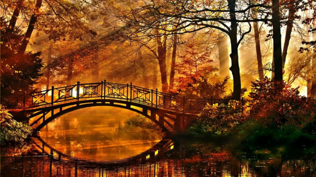 Fall Wooden Bridge, Autumn, Sun Rays, Lake, Images HD Background
