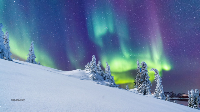Winter Aurora Wonderland, Snow, Wallpaper for Desktop