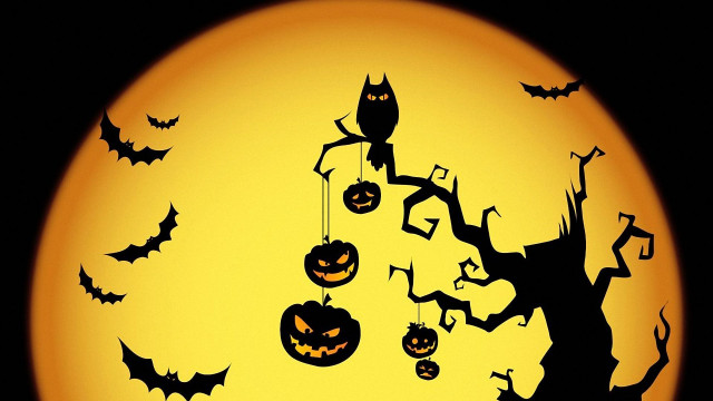Free Cute Halloween Wallpaper Images, Pumpkin, Spooky Halloween Images